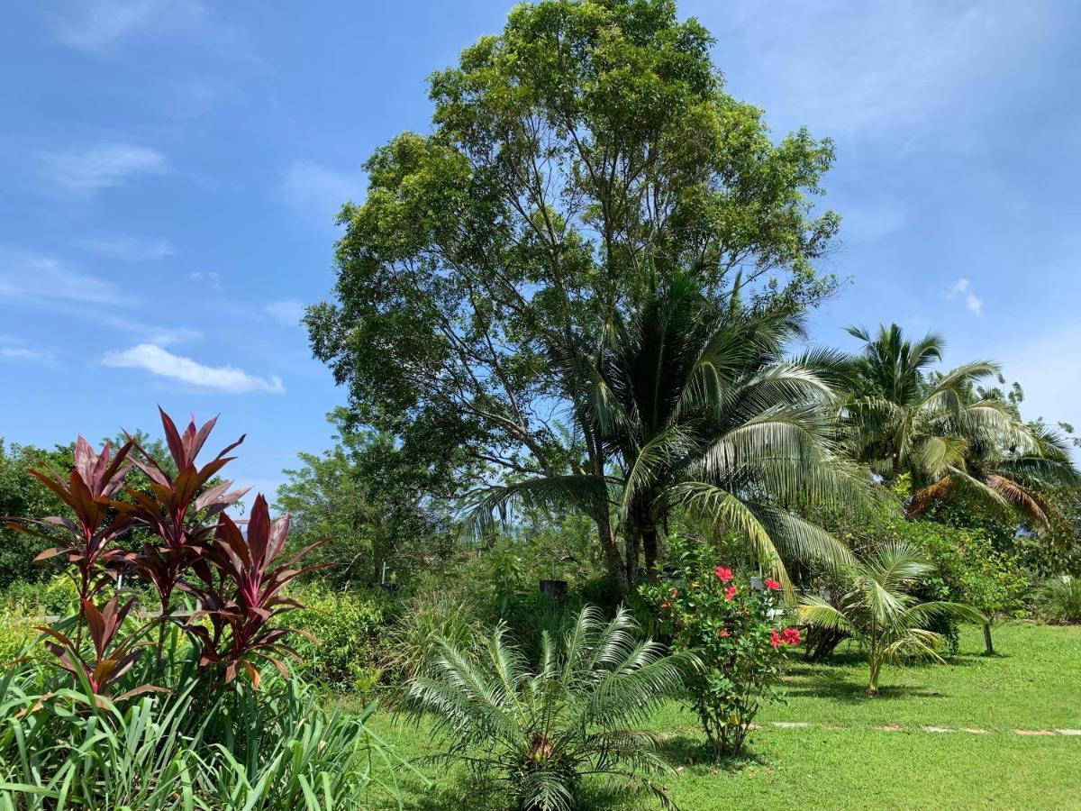 Lovely Garden Villas Pantai Cenang  Eksteriør billede