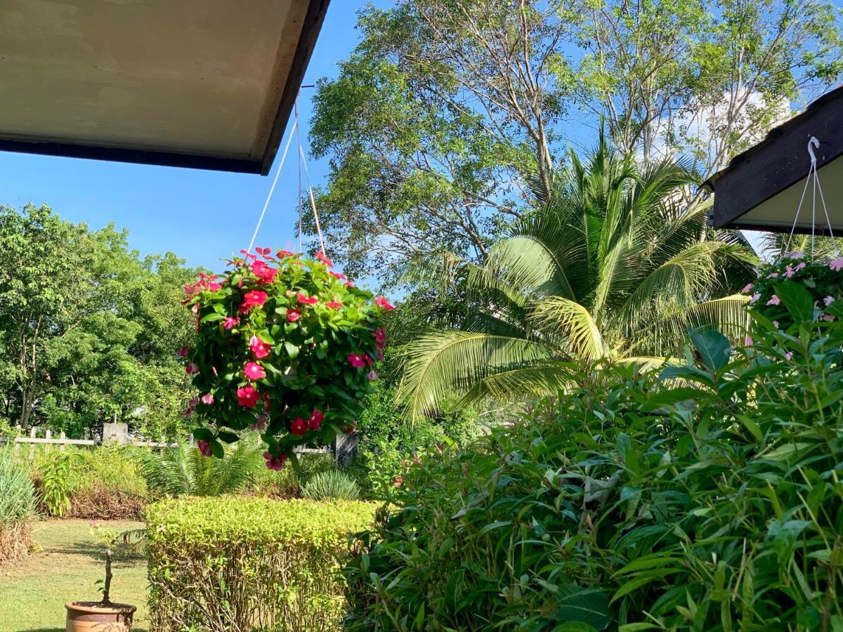 Lovely Garden Villas Pantai Cenang  Eksteriør billede
