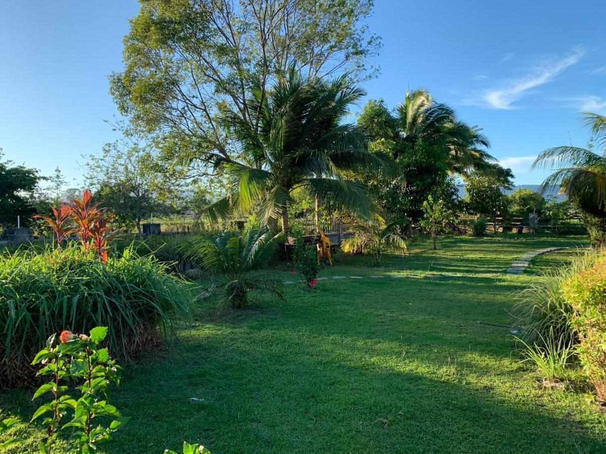 Lovely Garden Villas Pantai Cenang  Eksteriør billede